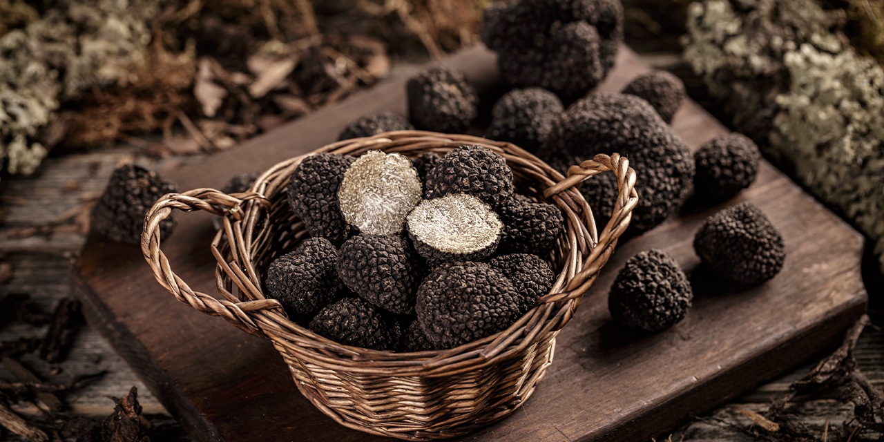 Staying at Belcasale during the Truffle Fairs